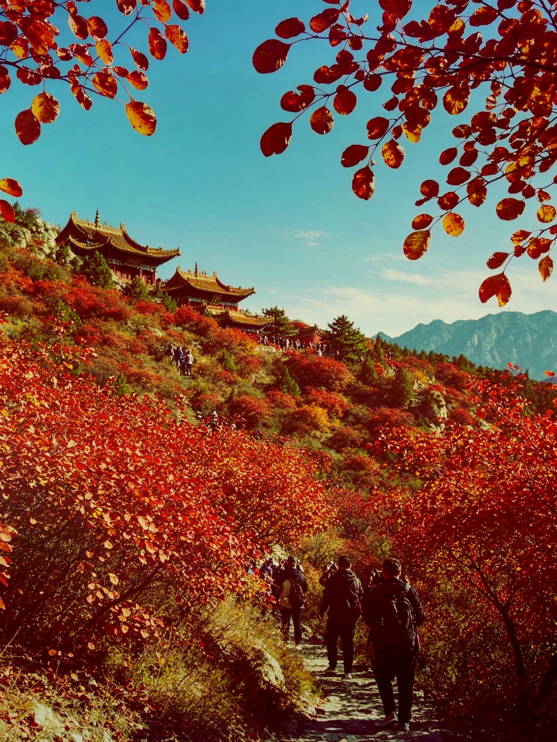 A hidden gem beneath the Helan Mountains! Stunning autumn scenery at Beiwudang and a popular temple fair