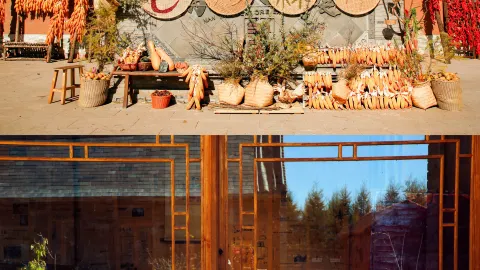 尋壩上最美秋天,藏在七彩森林的寶藏地 — traveler post in 壩上