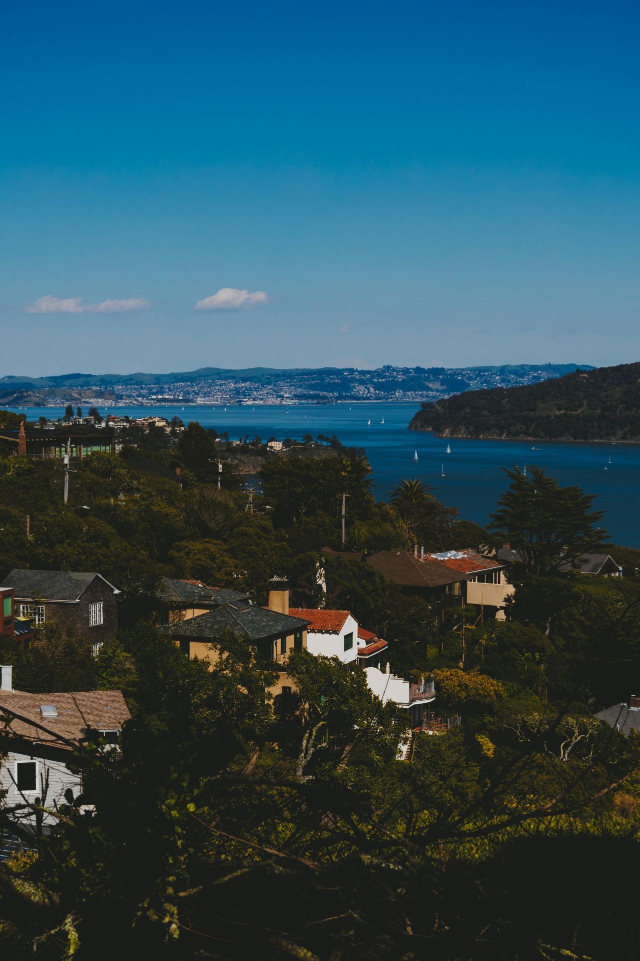 11-Day West Coast Adventure: Canyons, Coastlines, and NBA