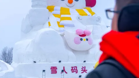 Frozen Wonderland one-day round trip guide | Staying at DeRUCCI Health Sleep Hotel really helps you recharge fast — traveler post in Harbin