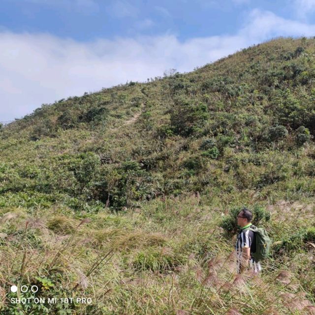 不一樣的觀景台~飛鵝山 不一樣的觀景台~飛鵝山