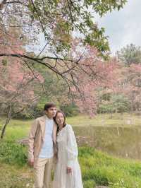ศูนย์อนุรักษ์พันธุ์กล้วยไม้รองเท้านารี 🌸🌸