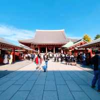 Experience Traditional Culture in Tokyo