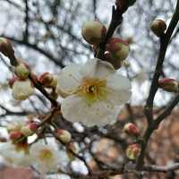 Campus Tour at Tsukuba University