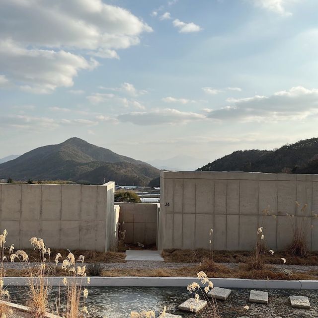 감각적인 공간 담양 프라이빗 숙소. 무조건 추천🕊️