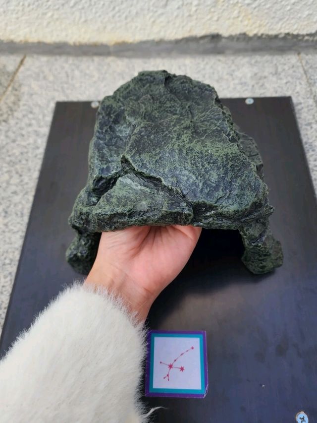 💠鴨脷洲 洪聖傳統文化節💠