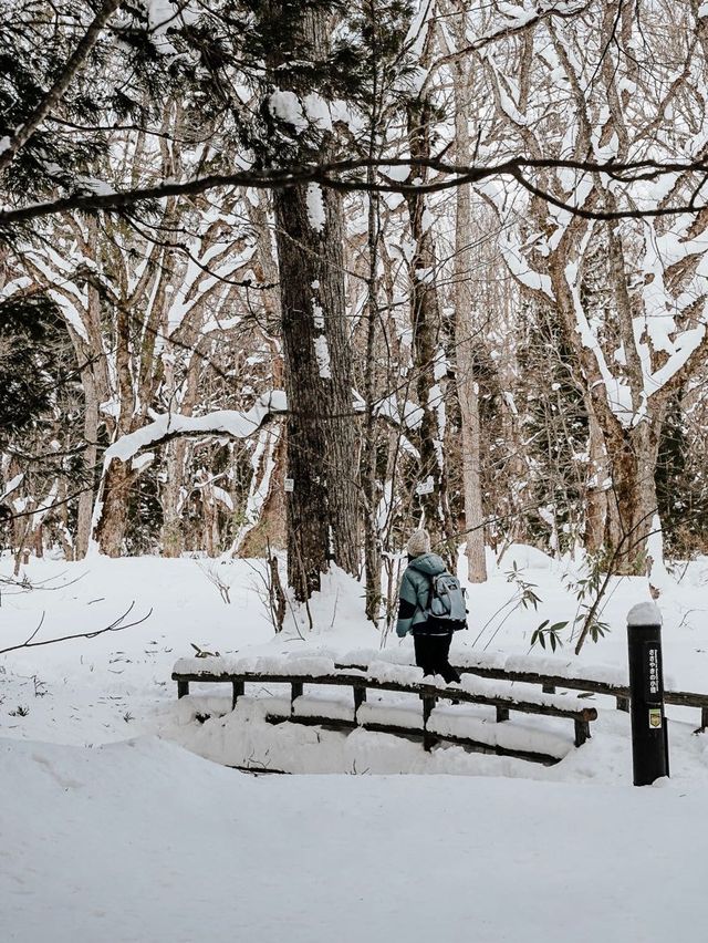 Togakushi Shrine, Nagano Japan ❄️❄️❄️