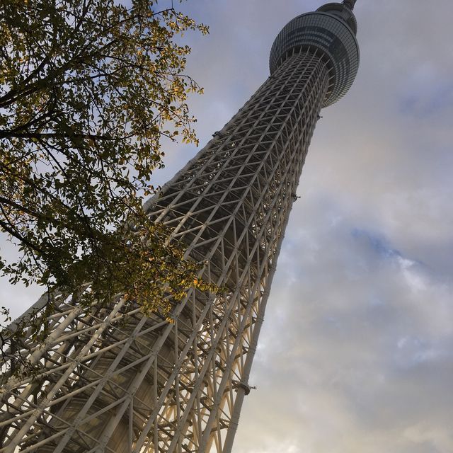 🇯🇵 日本東京必玩打卡景點之一🗼Tokyo Skytree 東京スカイツリー