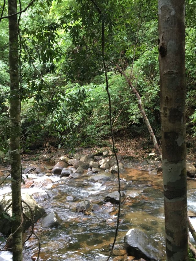 อุทยานแห่งชาติน้ำตกพลิ้ว จันทบุรี 🌿