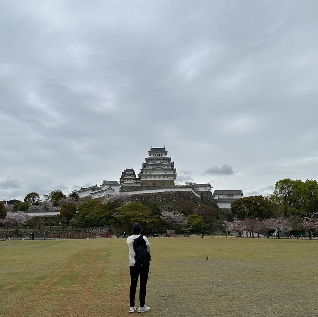 One of most beautiful castles in Japan!! 