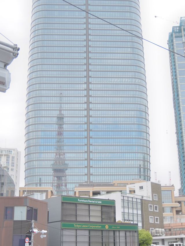 東京タワー✖️鯉のぼり