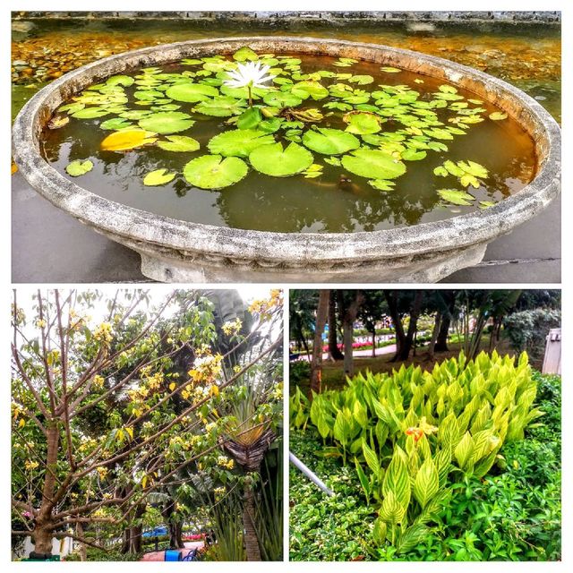 春暖花開💐閒逛澳門特色公園