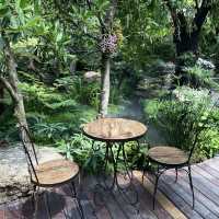 Plantnery Green Cafe : คาเฟ่สไตล์ธรรมชาติ