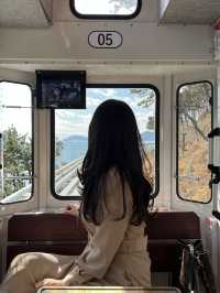 해운대가면 꼭 타야할 바다열차 ‘해운대블루라인파크‘