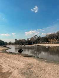 Safari Park กาญจนบุรี 