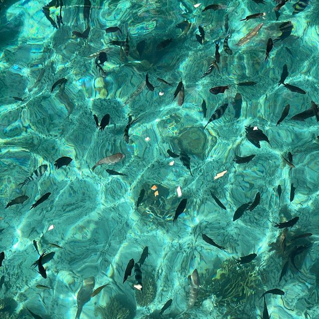Kanawa Island