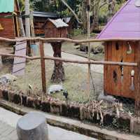 Farmhouse Susu Lembang, Bandung