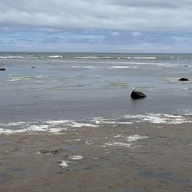【北海道】北の最果て！宗谷岬に来てみた