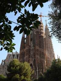 [스페인/바르셀로나]🇪🇸바르셀로나의 상징! 가우디가 설계한 사그라다 파밀리아 성당🏗️