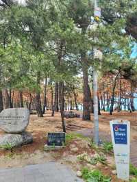 날씨 좋은날엔 강릉 경포해변🏖하세요!