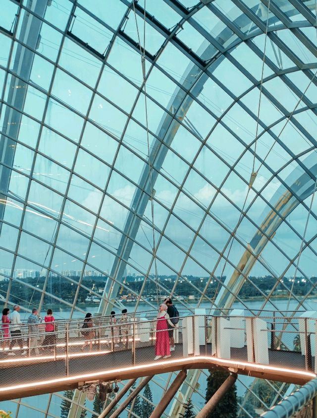 Cloud Forest at Garden By The Bay