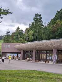 【北海道の大きな公園】キャンプも出来る滝野すずらん丘陵公園