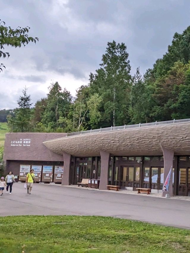 【北海道の大きな公園】キャンプも出来る滝野すずらん丘陵公園