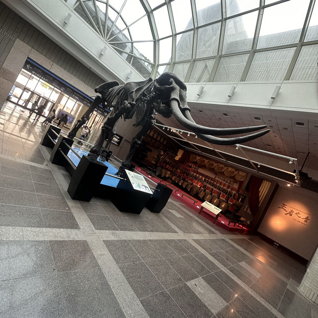 【臺中北區】自然科學館：多展區，立體電影，適合全家一日遊【8/10】