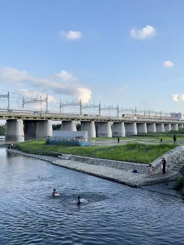 河畔的天堂！多摩川河川健康公園的清涼冒險！🌊🌳🌼