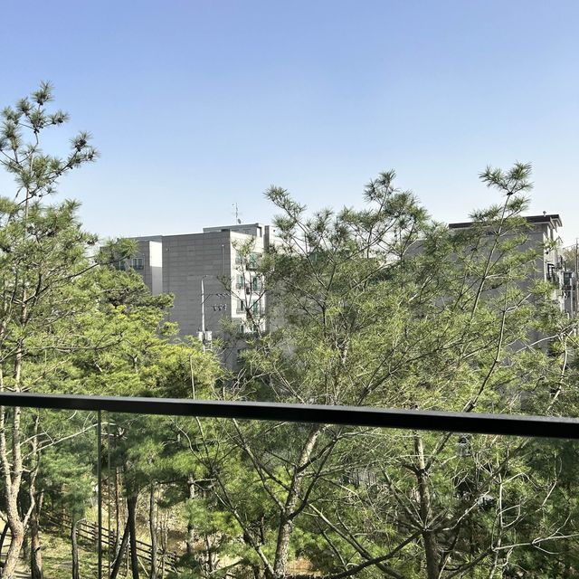 북한산을 품은 5성급 럭셔리 리조트에서 숲캉스 즐기기⛰️