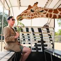 Safari Park, Kanchanaburi บ่อพลอย
