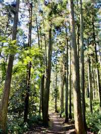 Asaina Kiridoshi Pass - Kumano Shrine 