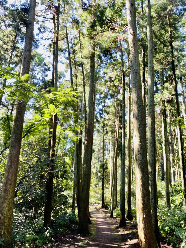 Asaina Kiridoshi Pass - Kumano Shrine 