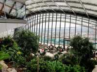 Sky Garden Delight: Feasting with a View!