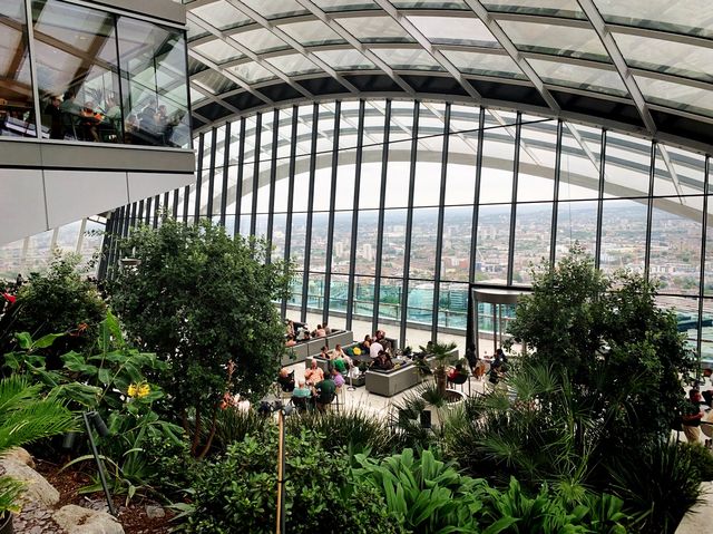 Sky Garden Delight: Feasting with a View!