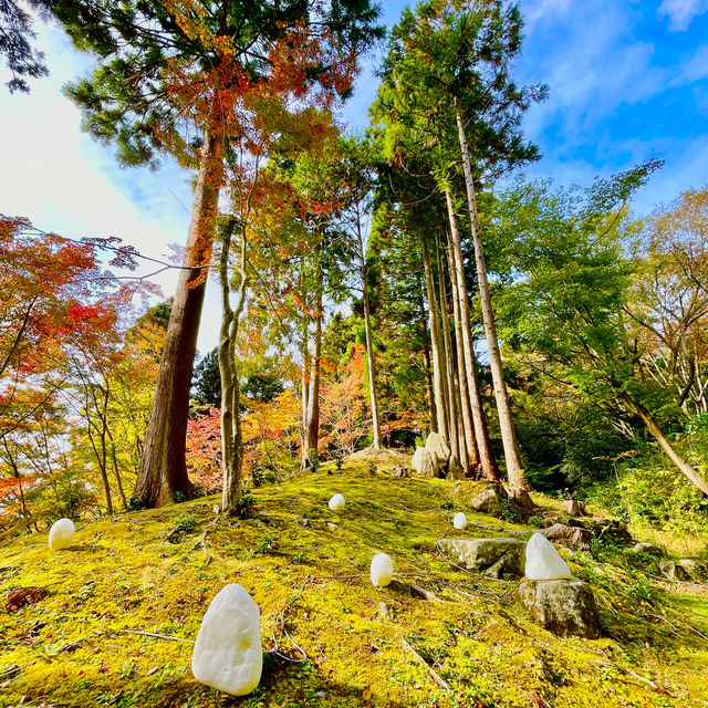 Hyakusaiji: Autumn Tranquility Unveiled