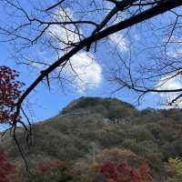 The Place with Eternal Autumn Foilage!