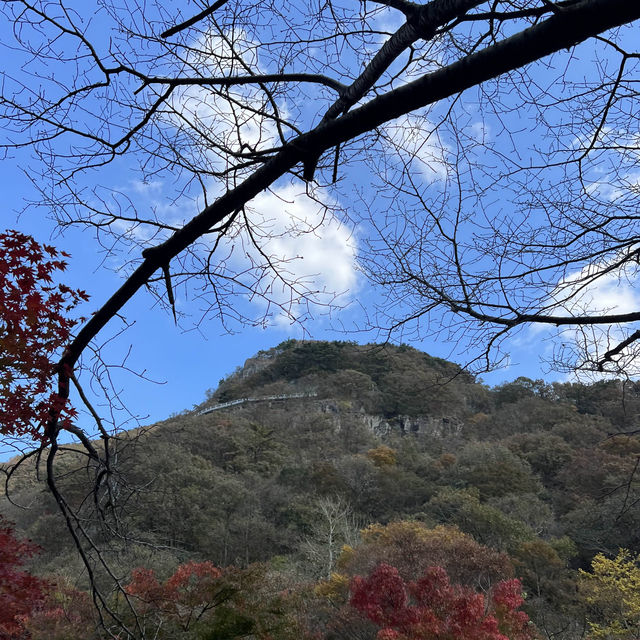 The Place with Eternal Autumn Foilage!