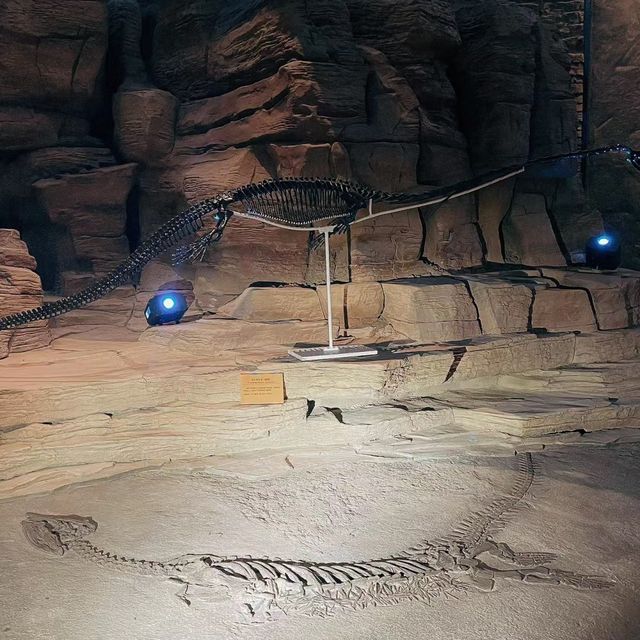 佐川地質館 🌋🔍地球歷史的奇妙旅程 🌏🔬
