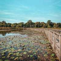 Point Pelee National Park