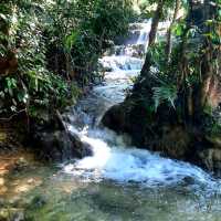 Mai Chau natural beauty 