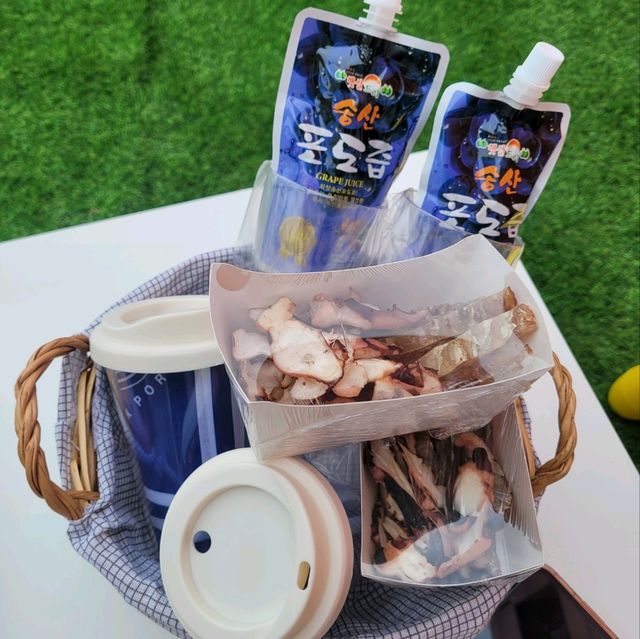 경기도 화성 전곡항에서 즐기는 요트투어