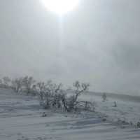 【美幌峠】が素晴らしい