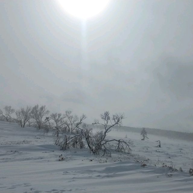 【美幌峠】が素晴らしい