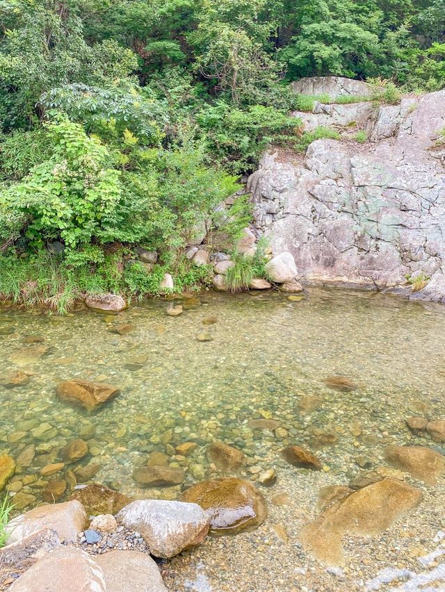 부산 근교 계곡 추천🤿💦