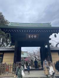 🇯🇵東京🫶🏻愛貓之人必去地方🐱❤️豪德寺📸