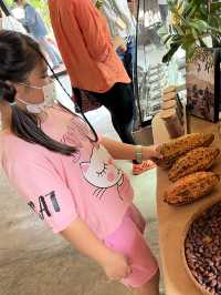 ทำเวิร์คช็อปโกโก้ที่ Cocoa Valley Resort