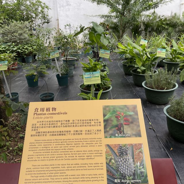 Luís de Camões Plant Nursery