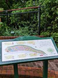 【雨の日で幻想的なハーブ園】神戸布引ハーブ園