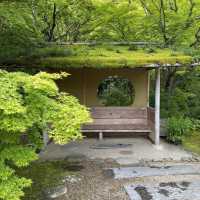 宮城松島「円通院」日本庭園が美しい